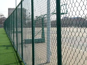 Plastic Iron Wire Woven Fence